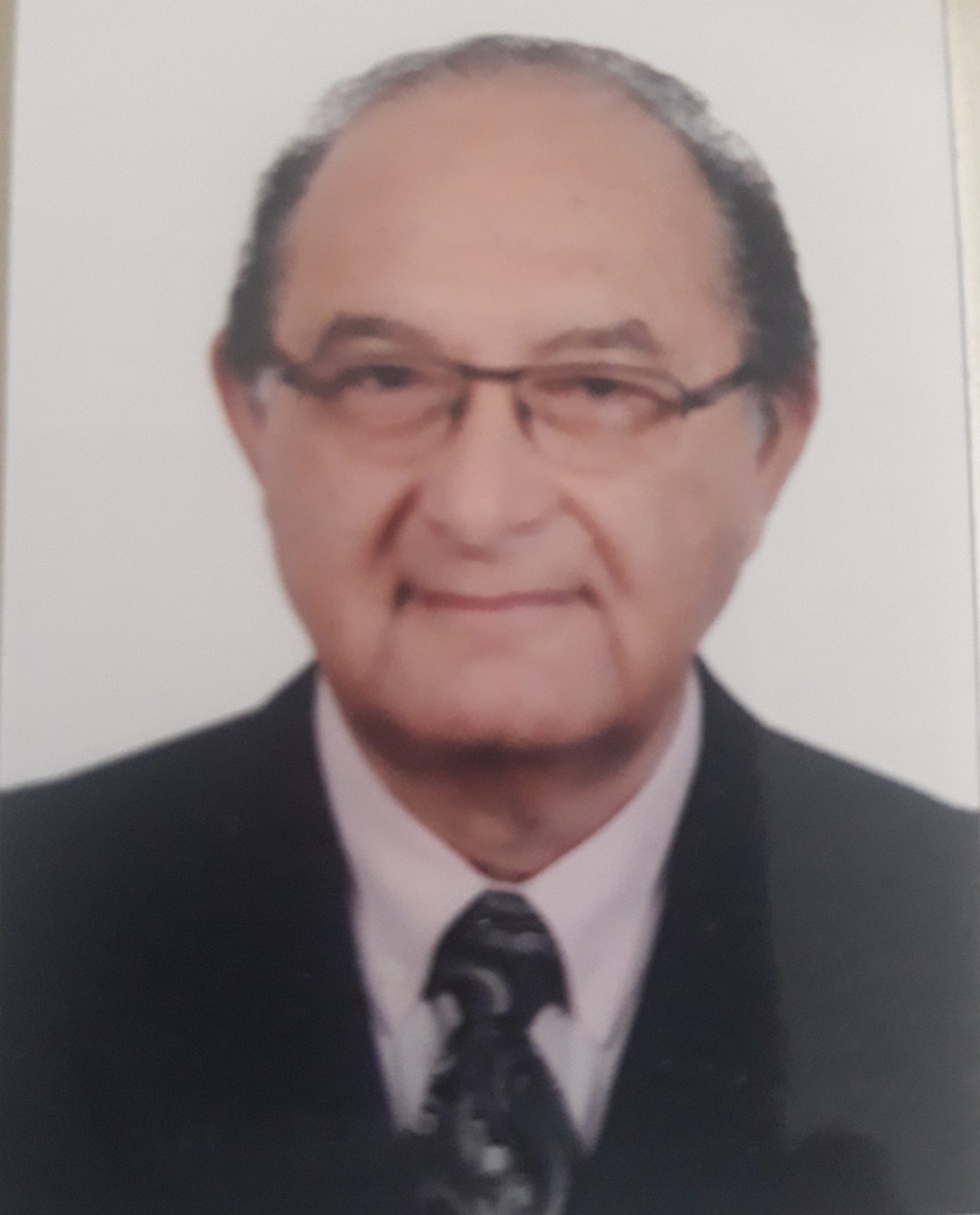 Mohamed Abdel Razek